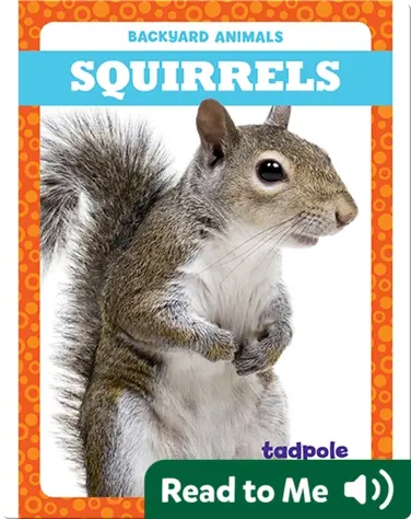 Backyard Animals: Squirrels book