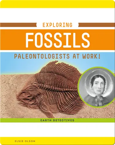 Exploring Fossils: Paleontologists at Work! book