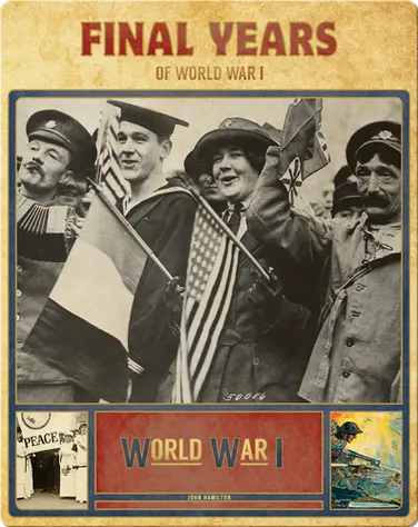 Final Years of World War I book