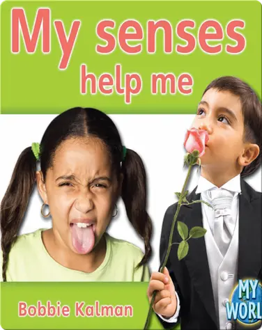 My Senses Help me book