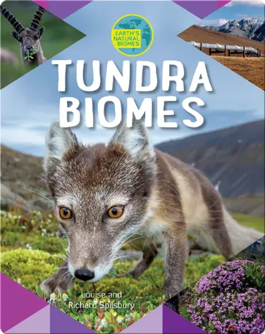 Tundra Biomes book