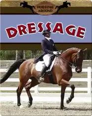 Dressage