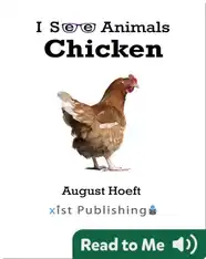 I See Animals: Chicken