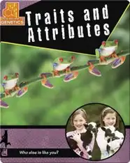 Traits and Attributes