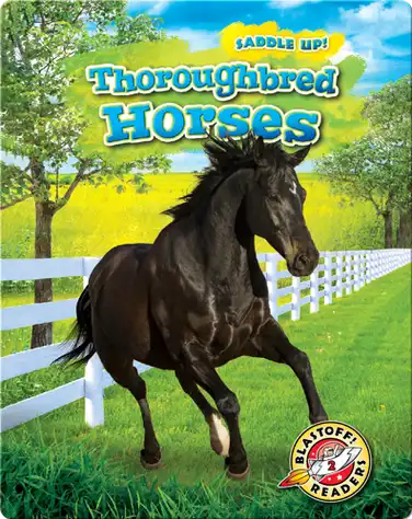 Saddle Up!: Thoroughbred Horses book