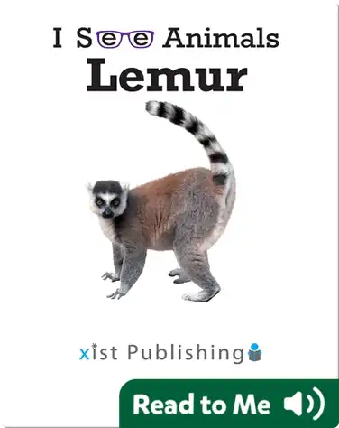 I See Animals: Lemur book