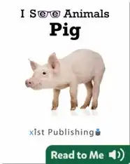 I See Animals: Pig