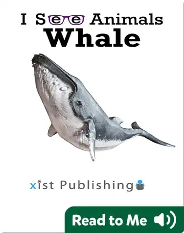 I See Animals: Whale book