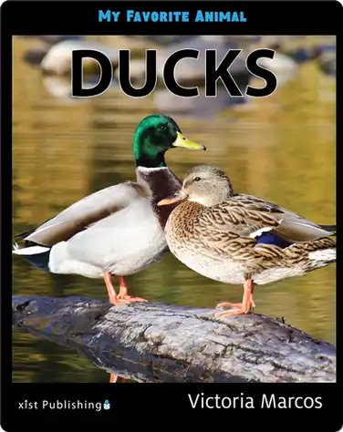 My Favorite Animal: Ducks book
