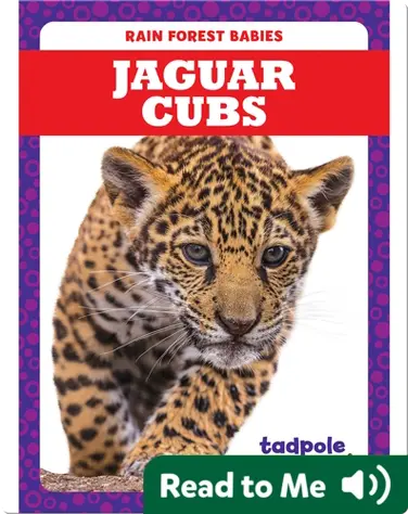 Rain Forest Babies: Jaguar Cubs book
