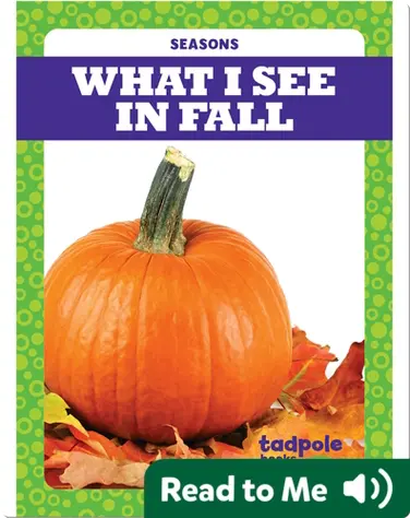 Seasons: What I See in Fall book