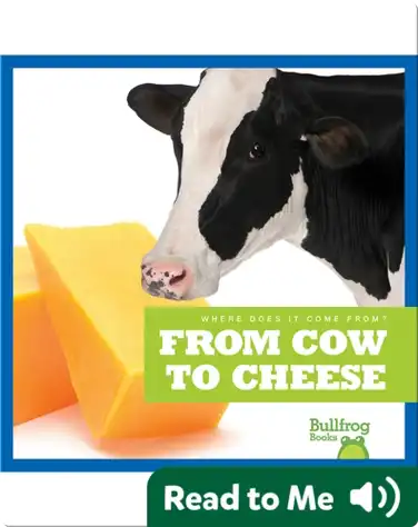 Where Does It Come From?: From Cow to Cheese book