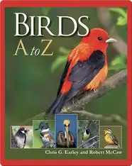 Birds A to Z