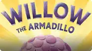 Willow the Armadillo
