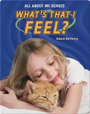 All About My Senses: What's That I Feel?