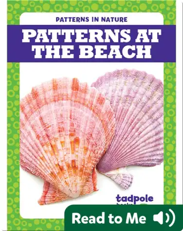 Patterns at the Beach book