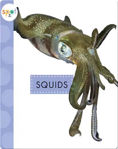 Ocean Animals: Squids book