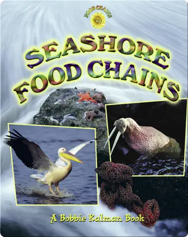 Seashore Food Chains book