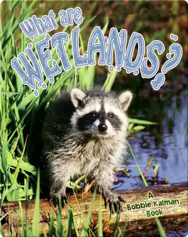 What are Wetlands? book