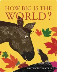 How Big is the World?