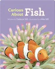 Discovering Nature: Curious About Fish