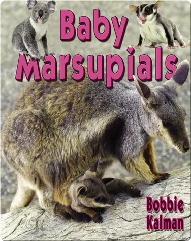 Baby Marsupials book
