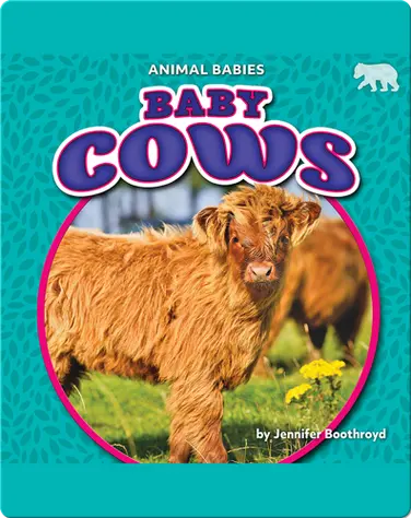 Animal Babies: Baby Cows book