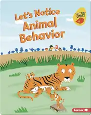 Let's Notice Animal Behavior