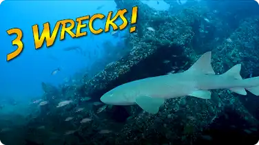 Jonathan Bird's Blue World: Exploring Three Shipwrecks Off Riviera Beach Florida! book