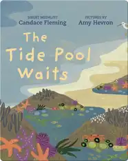 The Tide Pool Waits