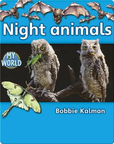Night Animals book
