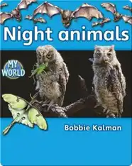 Night Animals