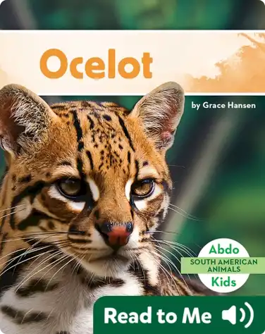 South American Animals: Ocelot book