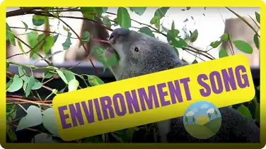 Take Care of the Planet (Environment Song) book