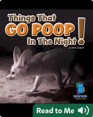 Things That Go Poop! In the Night