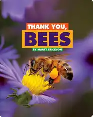 Thank You, Bees