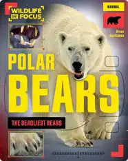 Polar Bears: The Deadliest Bears