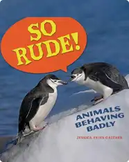 So Rude!: Animals Behaving Badly