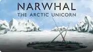 Narwhal