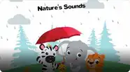 Baby Einstein: Nature's Sounds