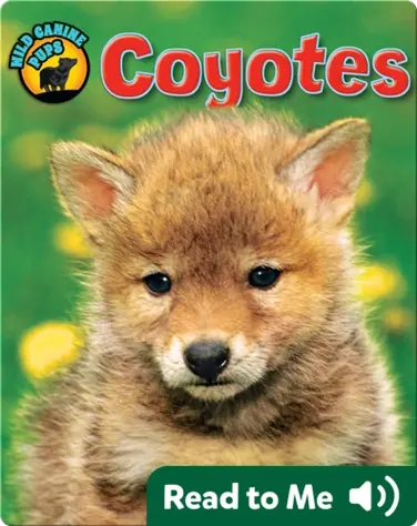 Coyotes (Wild Canine Pups) book