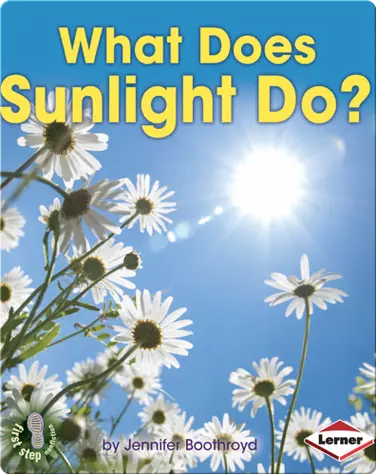 What Does Sunlight Do? book