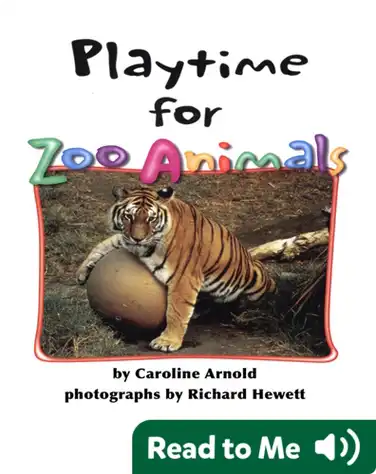 Playtime for Zoo Animals book