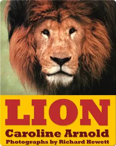 Lion book