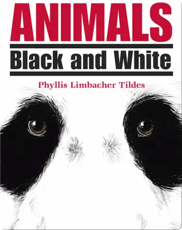 Animals: Black and White book