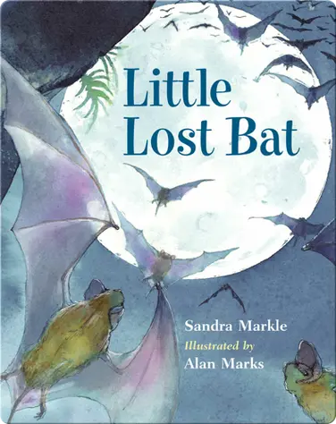 Little Lost Bat book
