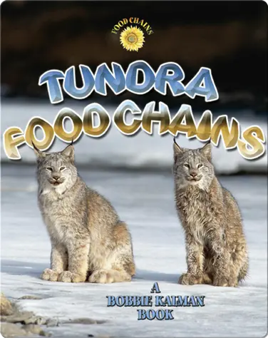 Tundra Food Chains book