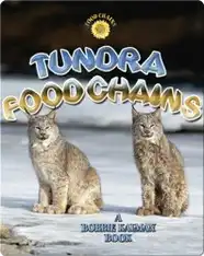 Tundra Food Chains