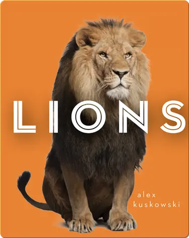 Zoo Animals: Lions book