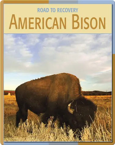 Road To Recovery: American Bison book